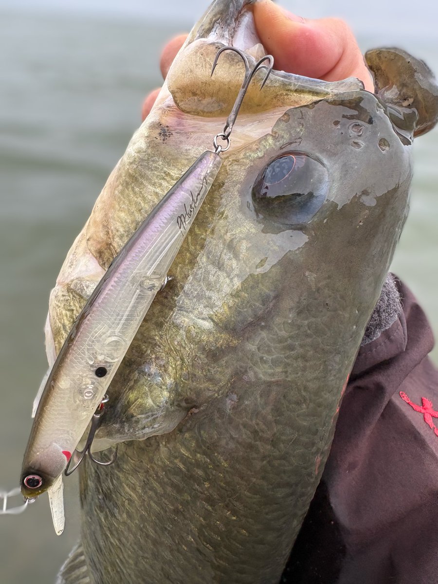 中川裕貴 バス釣り tweet media