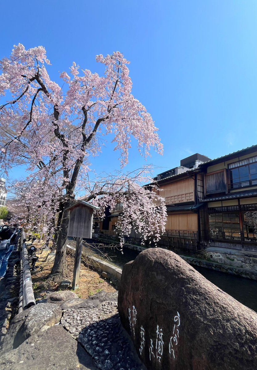 yotchan👑🐃 🎯 🍃 C+R🥜4/14🌾5/10⚓7/14.15 tweet media