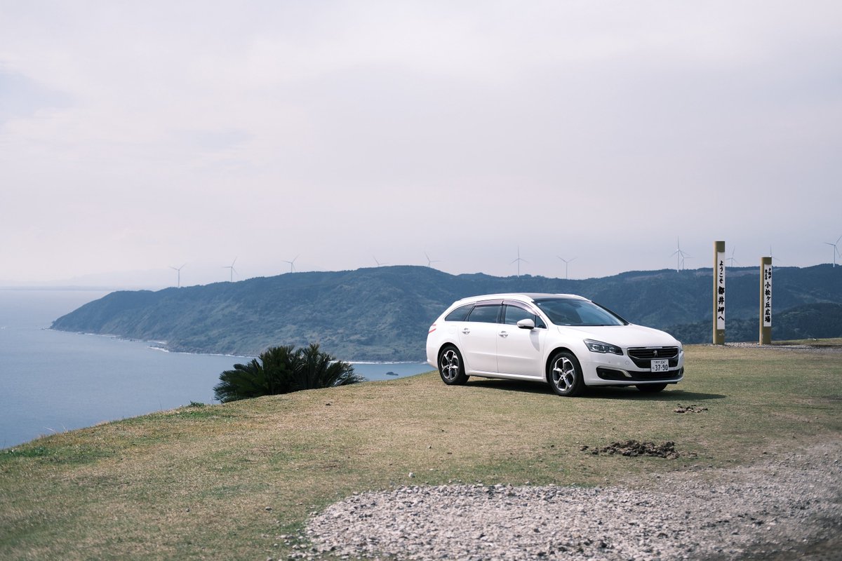 ミクラ tweet media