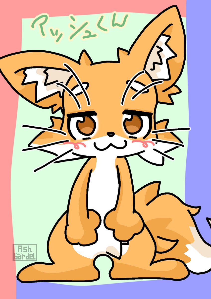 アッシュくん@関けもA-38 tweet media