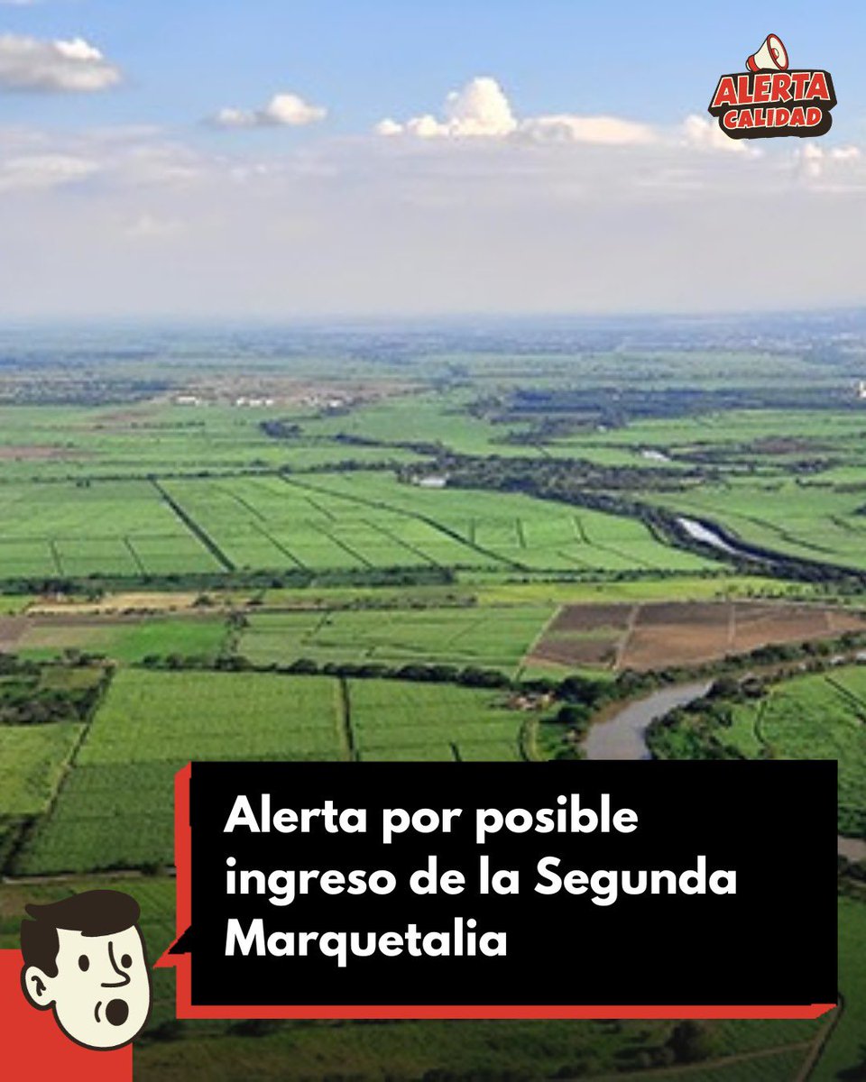 Alerta Calidad tweet media