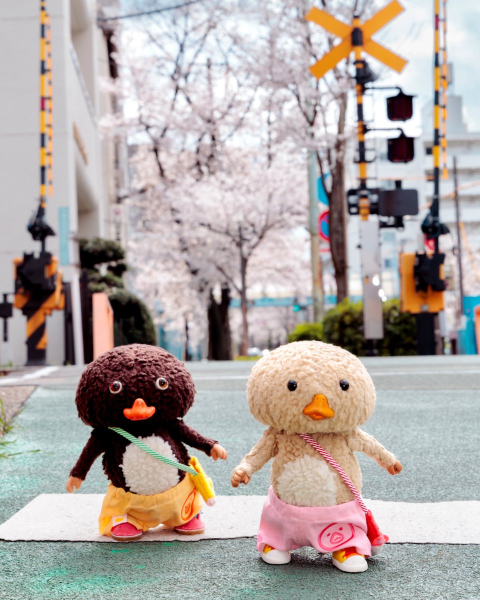 東京トガリ tweet media