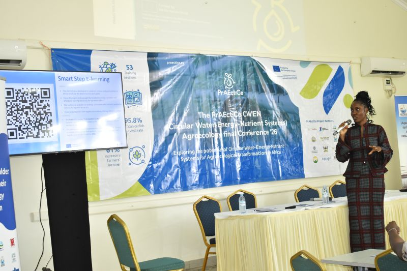 Apodissi tweet media