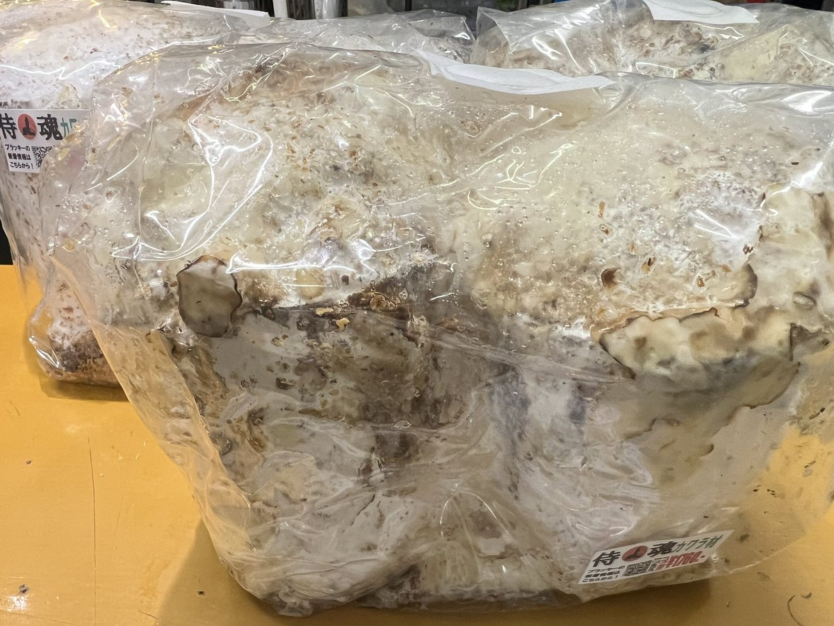 ブラッキー　クワカブ専門店 tweet media