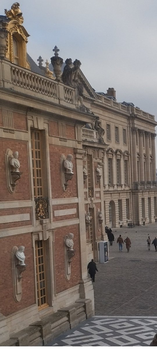 MladenVladen tweet media