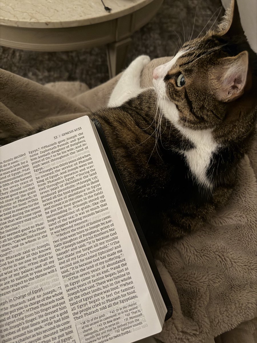 Paul Bullard tweet media