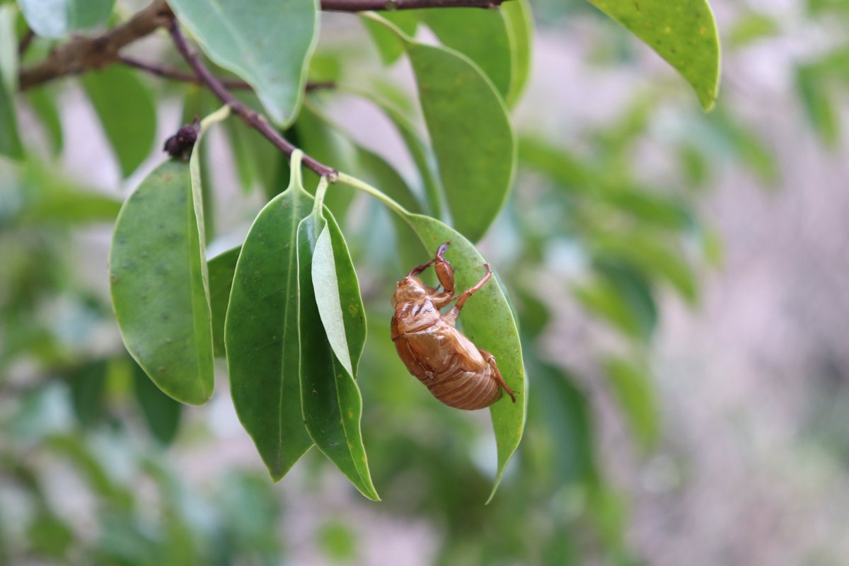 kitakyu_pc tweet media