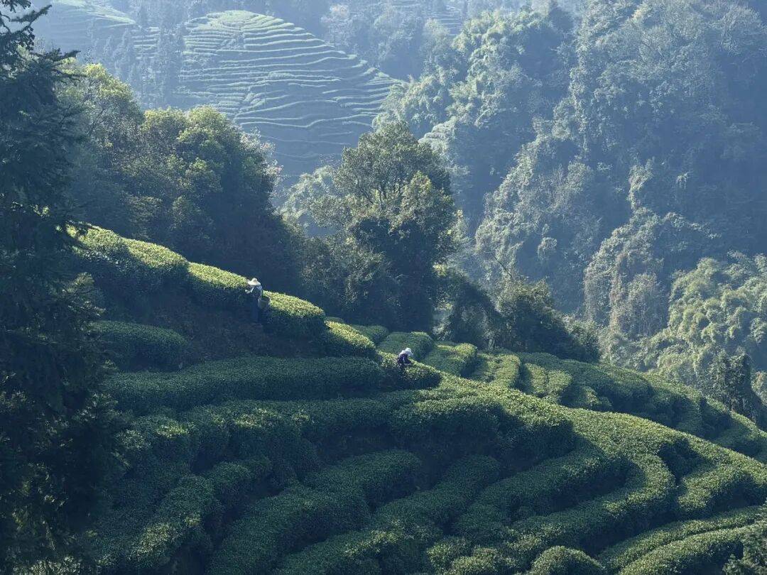 Василий tweet media