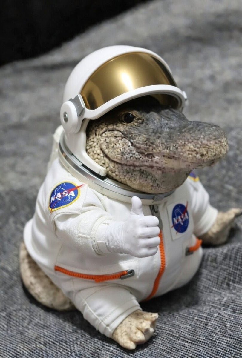 Rotate to other coins or ape new pairs and get rinsed hard
Or
Buy and hold $Greg that has an active community, top tier team and a good cto lead

The choice is yours to make!!