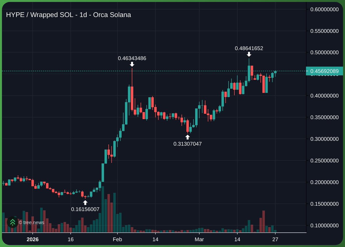 loffy.hl 🇵🇹 tweet media