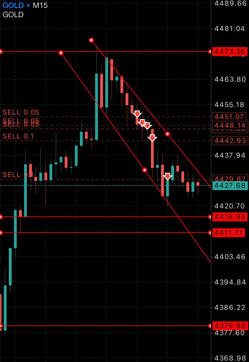 歩くポケモンマスター tweet media