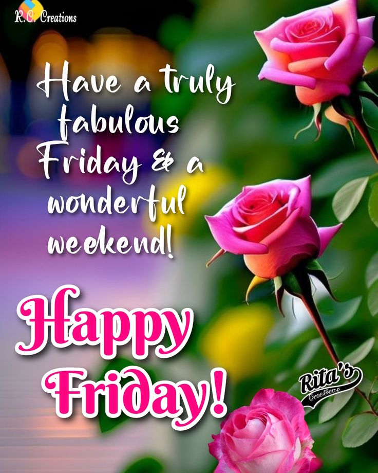 Nicholas Kocis tweet media