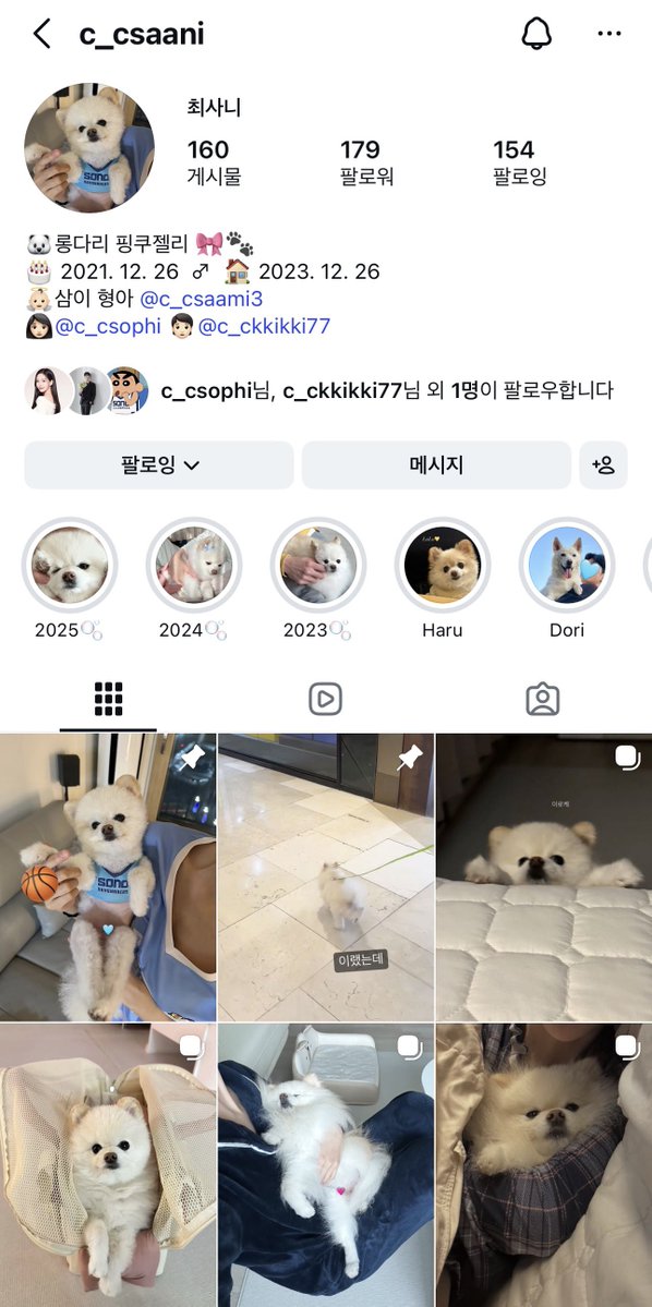 강수 🐶🏀 tweet media