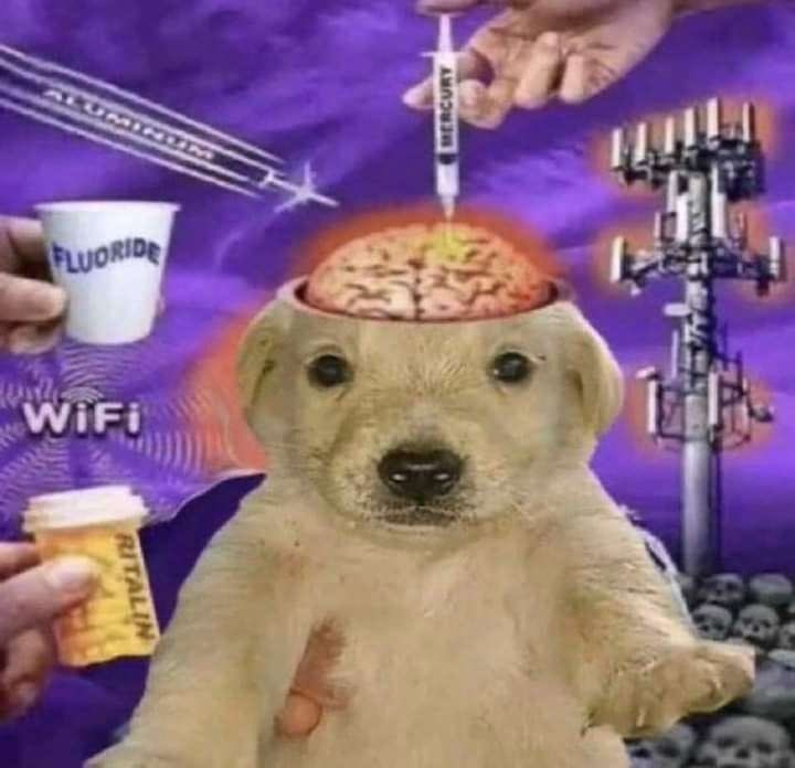 🍰 bela?! - 𝘴𝘩𝘦𝘥𝘵𝘸𝘵 ★彡 tweet media