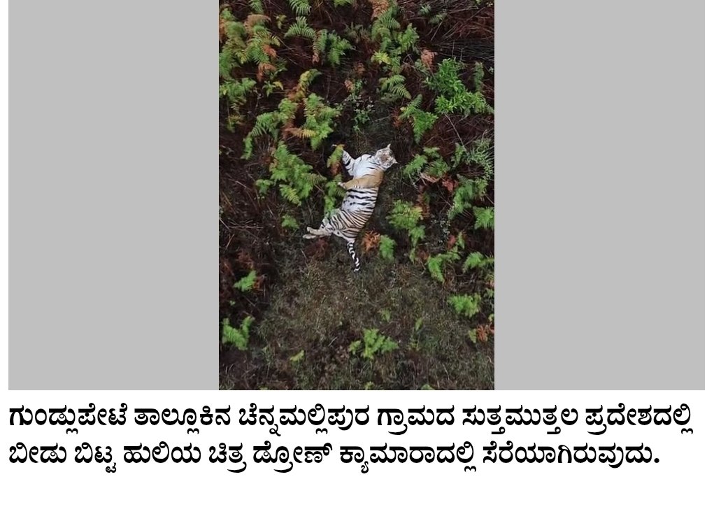 Ranjit Hegde tweet media