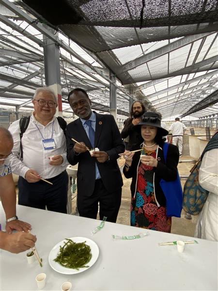 tmarwala's tweet image. Visited a sea grape farm in Kumejima—an inspiring example of sustainable ocean-based production. These “green caviar” highlight the potential of marine resources to support food security, innovation, and local economies. 
#Kumejima #BlueEconomy #Sustainability #Innovation