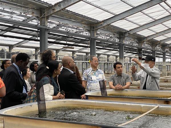 tmarwala's tweet image. Visited a sea grape farm in Kumejima—an inspiring example of sustainable ocean-based production. These “green caviar” highlight the potential of marine resources to support food security, innovation, and local economies. 
#Kumejima #BlueEconomy #Sustainability #Innovation
