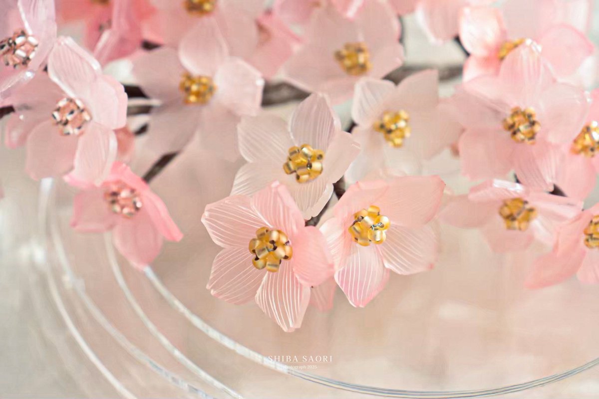 しばさおり tweet media