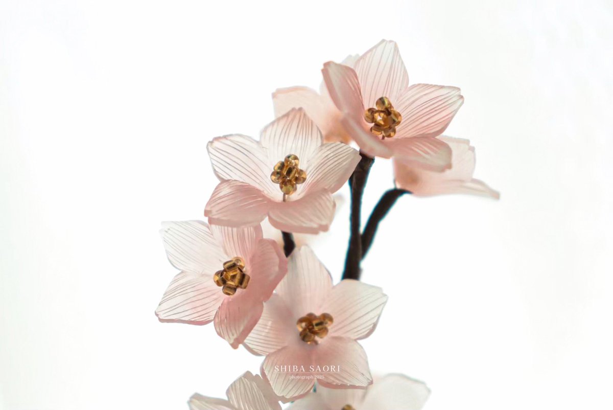 しばさおり tweet media