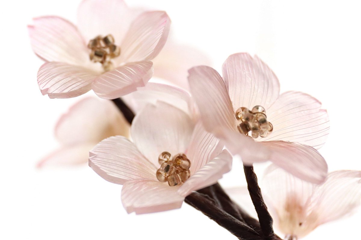 しばさおり tweet media