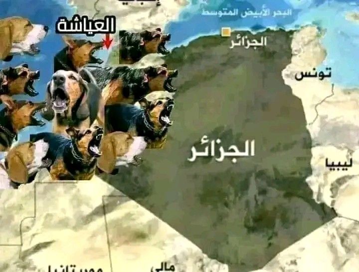 ĤãmŽæ tweet media