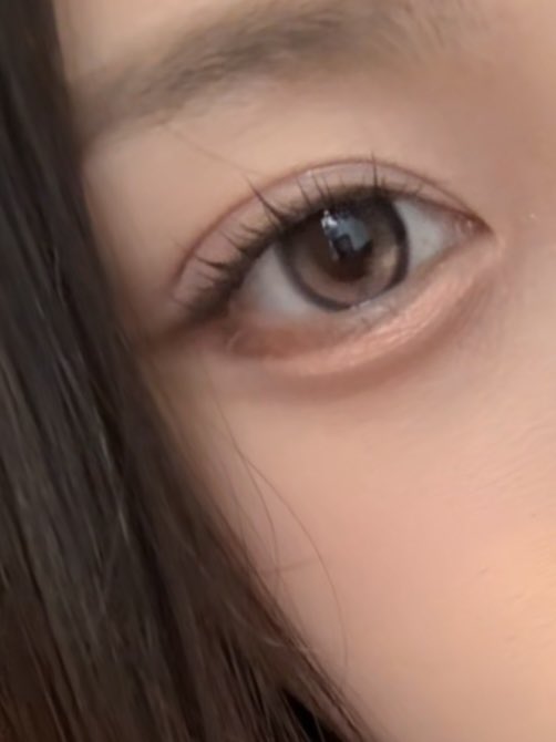 커몽이 tweet media