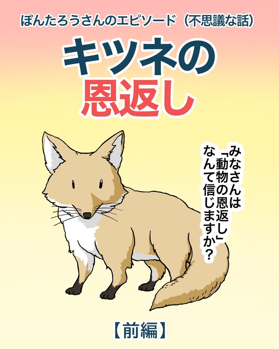 キツネに恩返しされた話1/2 