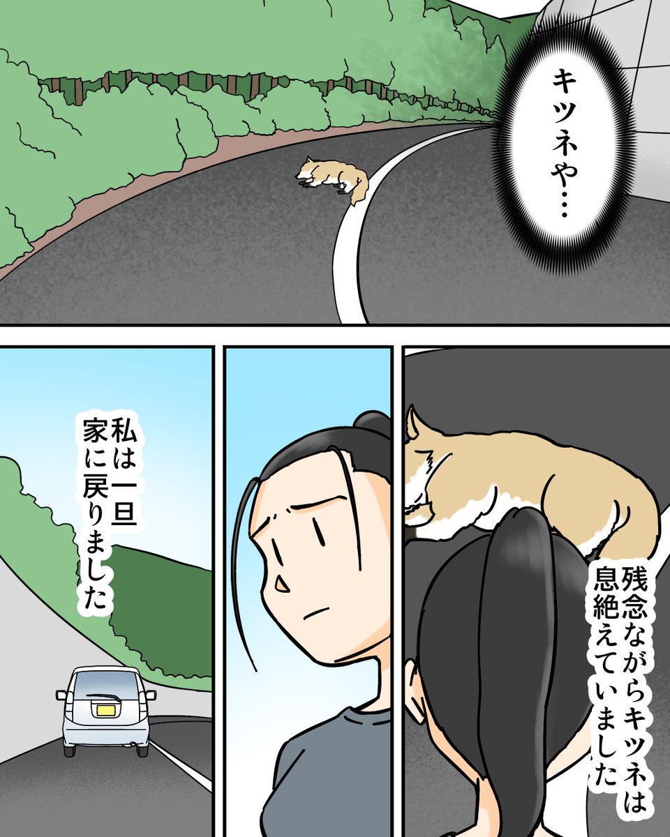 ババレオ tweet media