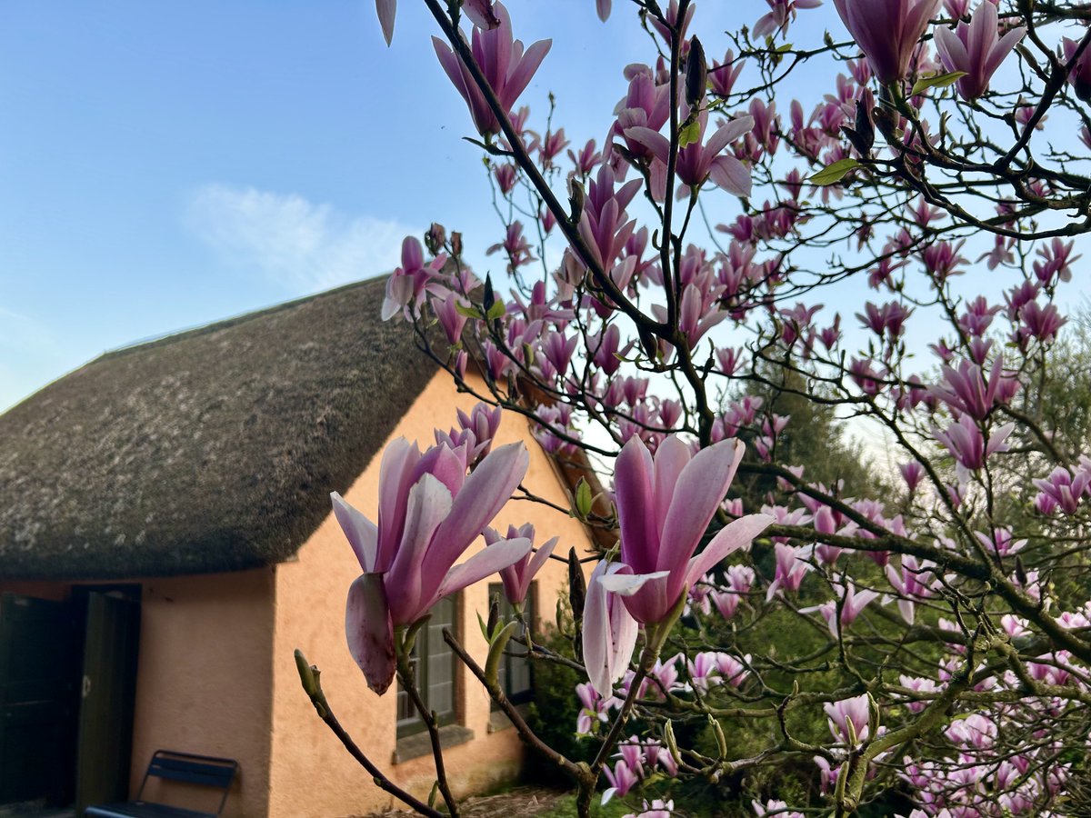 Lorraine Inglis tweet media