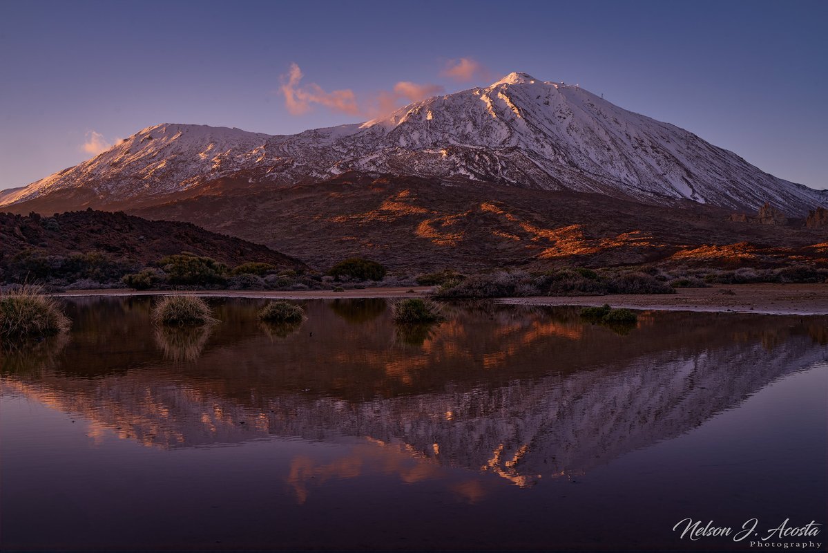 Nelson J. Acosta 🏴󠁧󠁢󠁳󠁣󠁴󠁿 tweet media