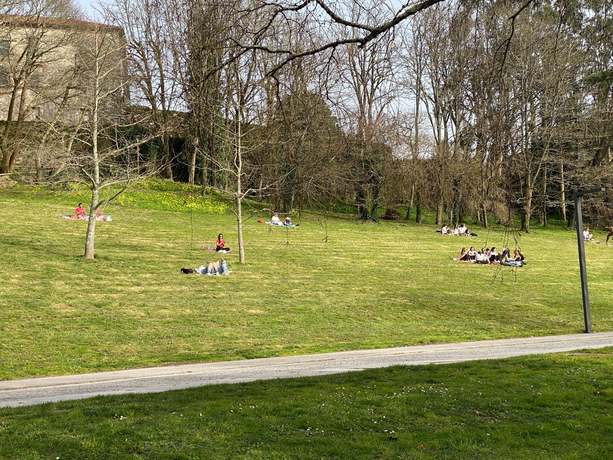 Compostela Verde 🌿 tweet media