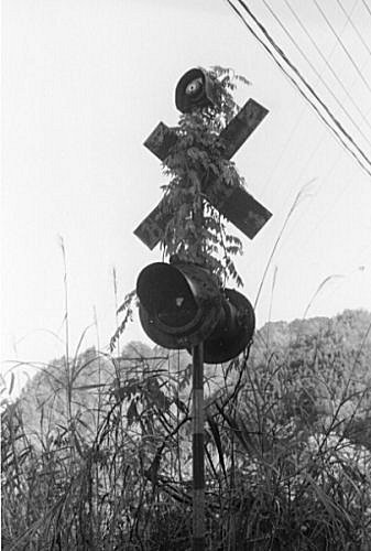 機　（〄.ꏙ.［@@@］） tweet media