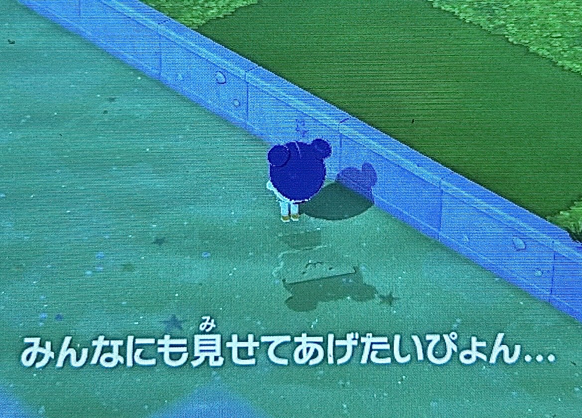 モンペ tweet media