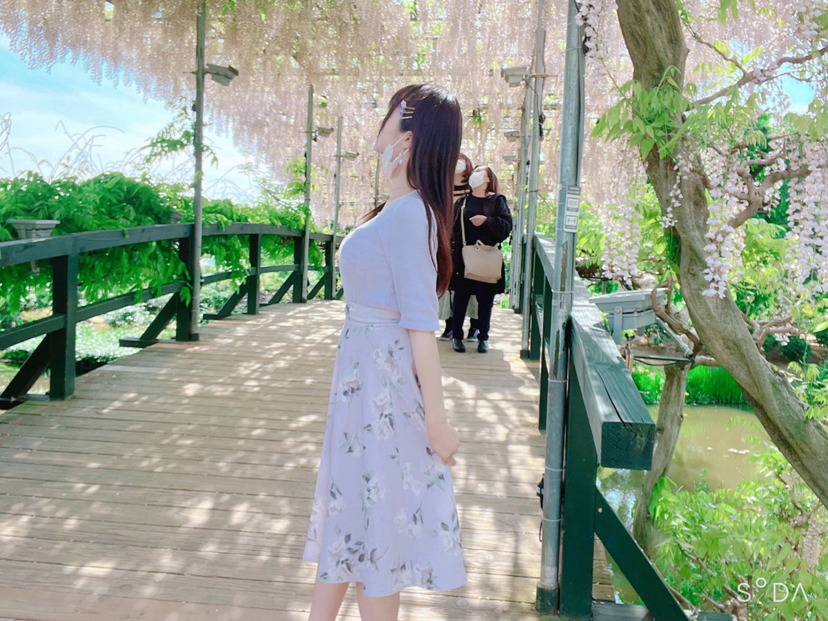 🍏🌸 こはぅ 🌸🍎 tweet media