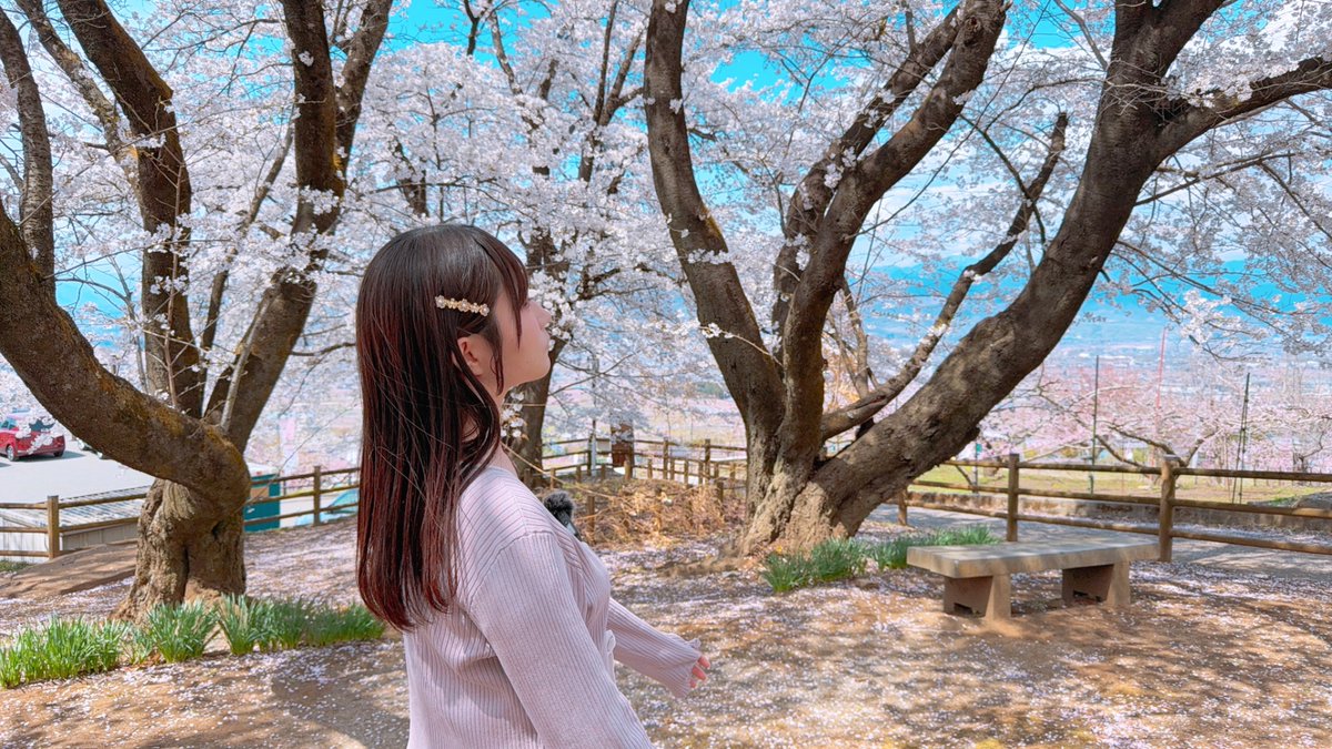 🍏🌸 こはぅ 🌸🍎 tweet media