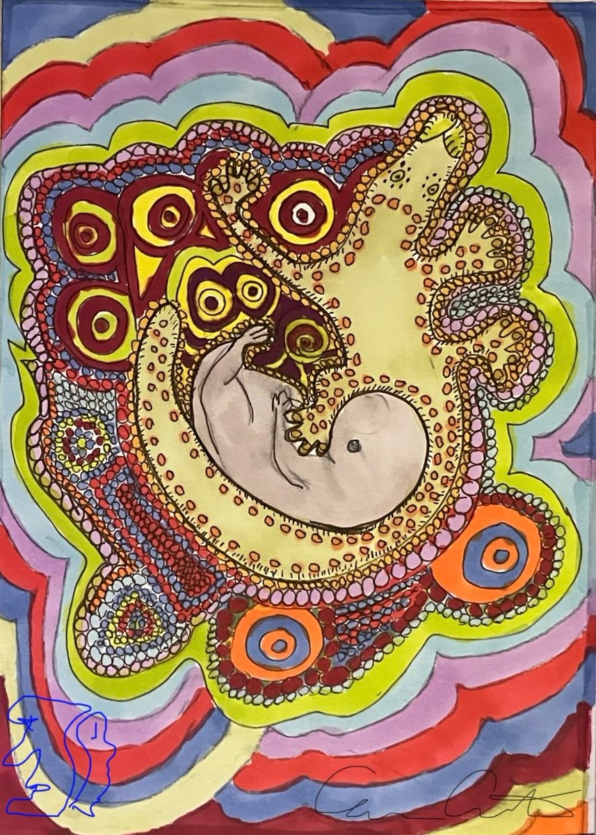 Carmen Castro tweet media