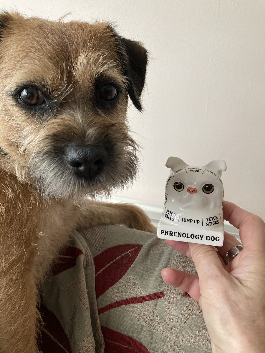 Margot (sisfur of Jakedoganality) b.26/01/2022 tweet media