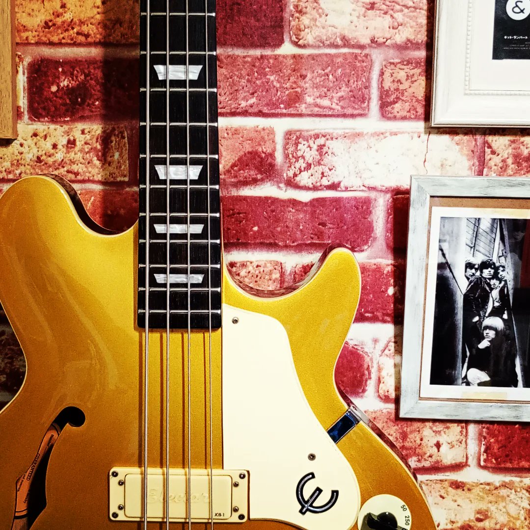 ヒデキ(Bass) tweet media