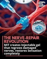 Factoids 101 tweet media