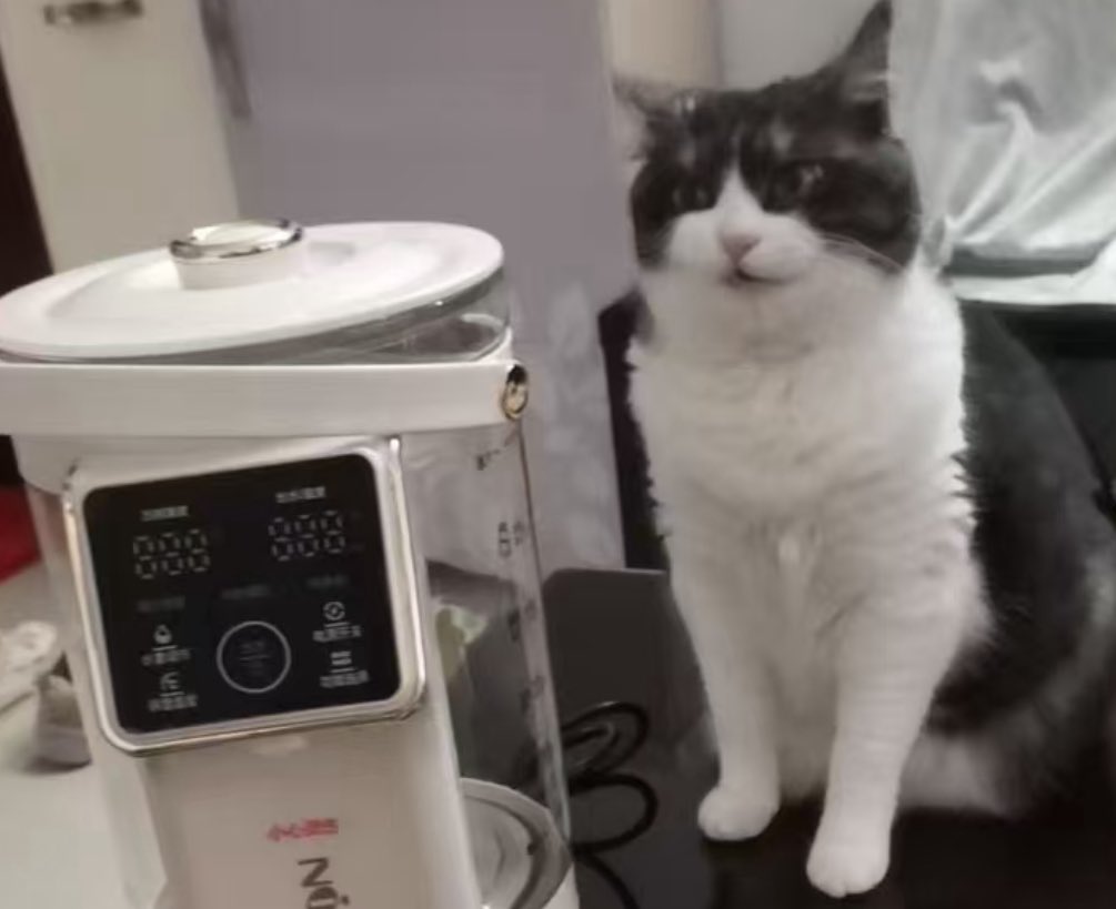 迷人的鸡肉卷 tweet media