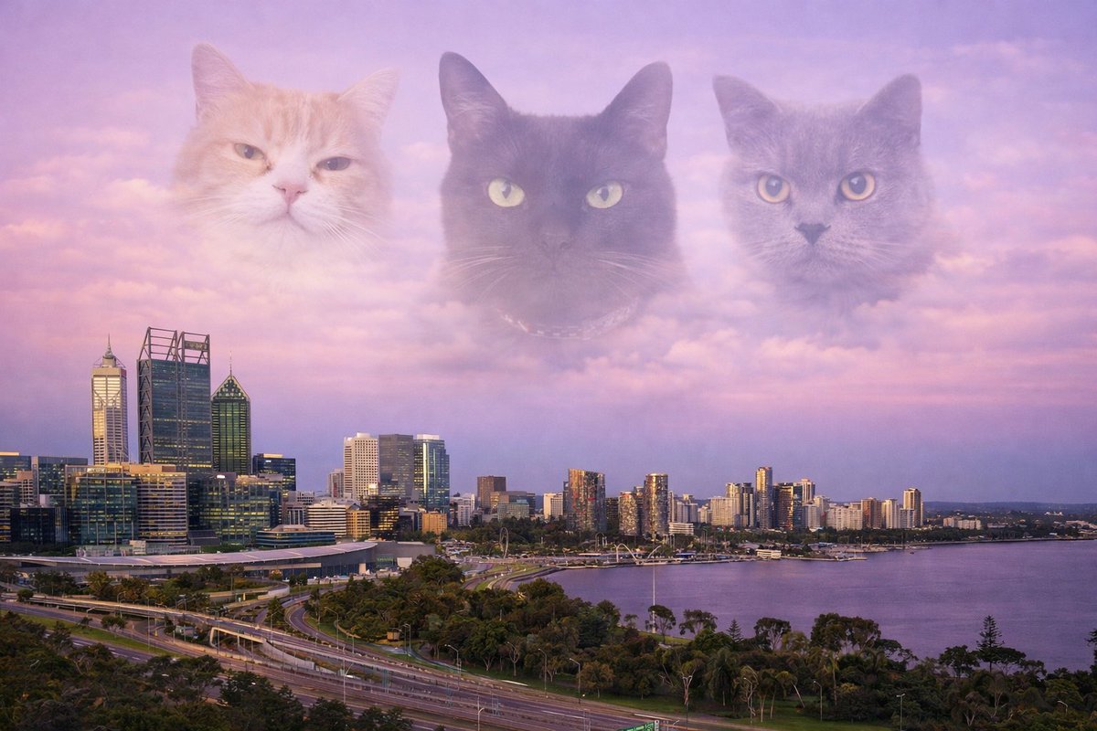 悪役レスラーの日常 tweet media