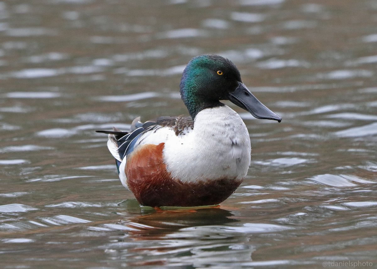 Terry Hlywka tweet media