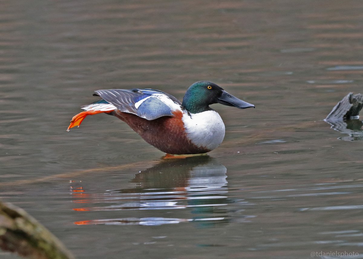 Terry Hlywka tweet media