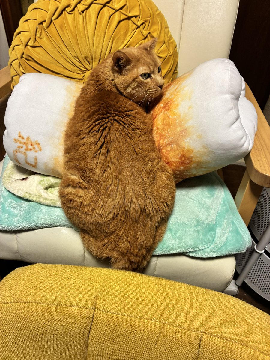 アンバーとシトリンとヒスイ tweet media