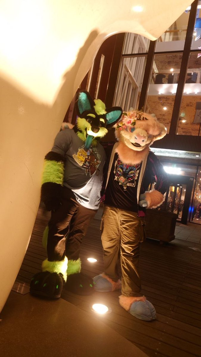 Arrackwolf's tweet photo. Cool mo and awoo is chilling cuz its #FursuitsFriday! 

Me and @HighlanderOttie are going for a furrmeet in Uppsala this weekend, woohooooo! :D it will be so fun to see all our friends again ^w^ 

🪡🐺 @TheKarelia 
🪡🐮 @aSaltyBunny https://t.co/dM9iQw5prv