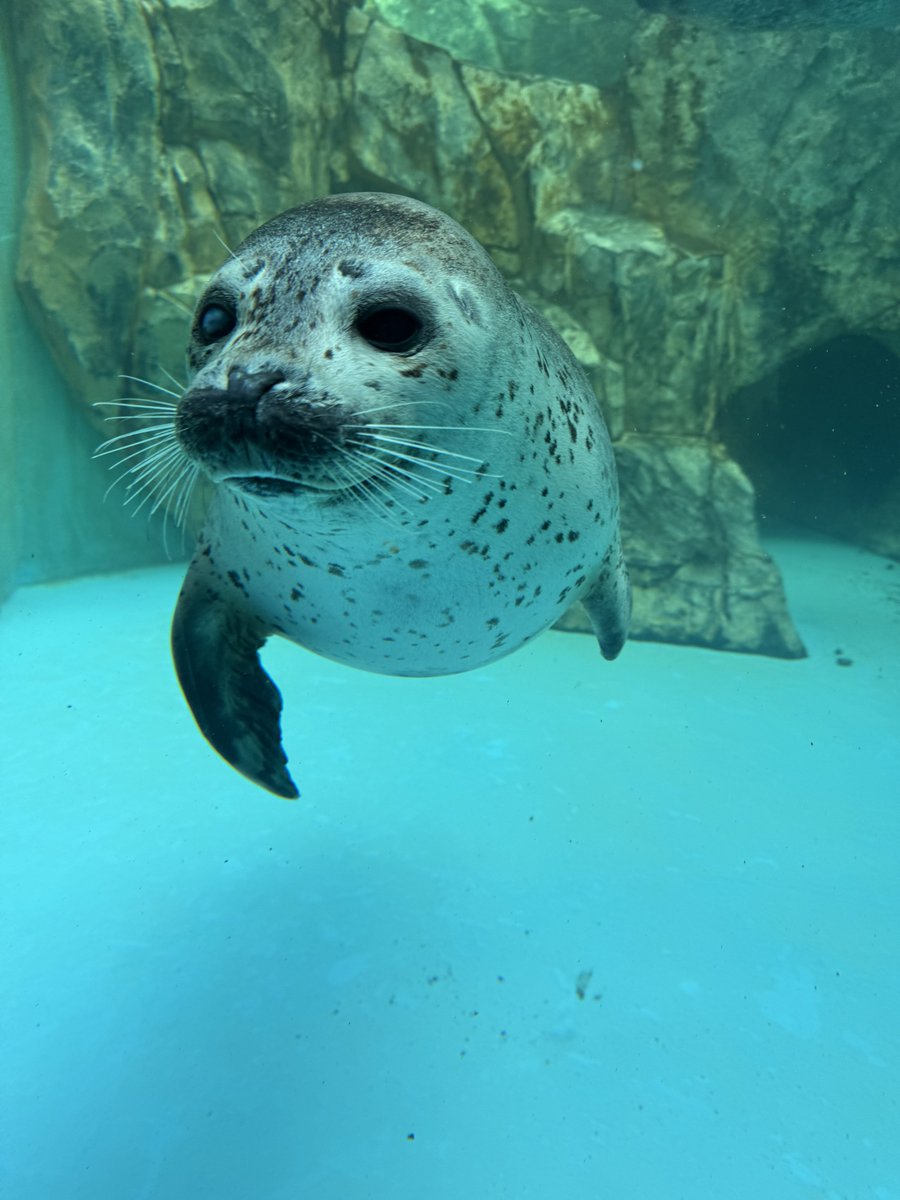 bui🐈🦭 tweet media