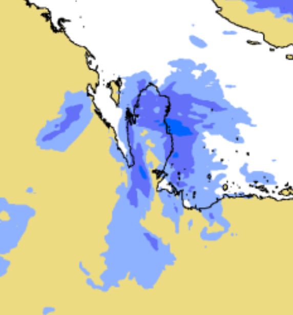 essa_qtr tweet media