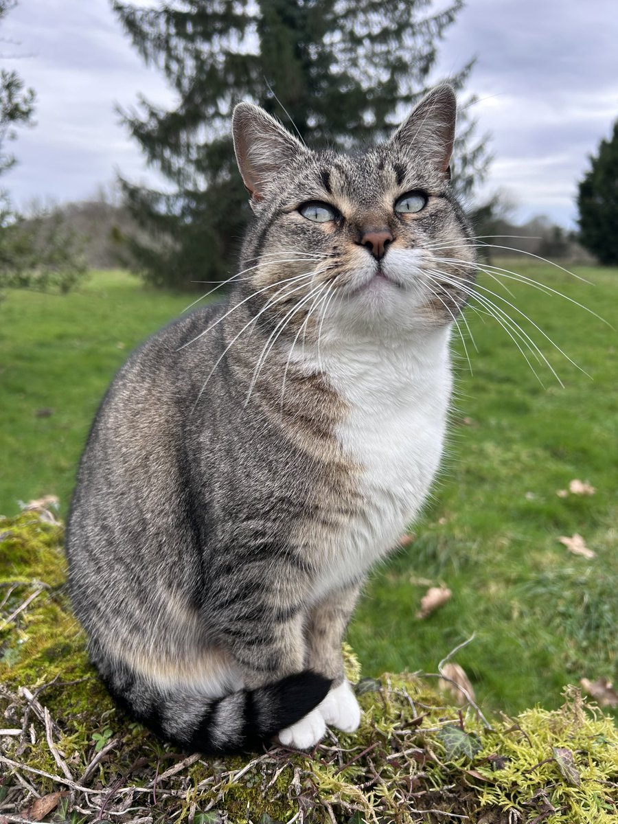 Ganesh LeBirman tweet media