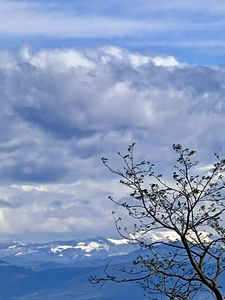 _sam_sa_ra's tweet image. Ti capisco. 

📸 11:44
#Rome