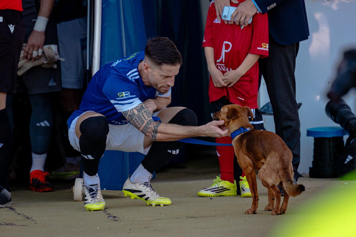 😀 ¡Feliz viernes, azulinos! 

🐶 𝑪𝒉𝒊𝒔𝒑𝒊𝒕𝒂 sigue necesitando ayuda económica para costear la operación de sus patitas traseras. 

📲 atrizascadiz@gmail.com

#CDSanFernando1940